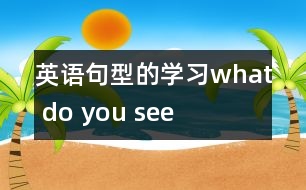 英語句型的學(xué)習(xí)：what do you see