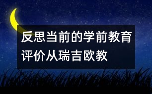 反思當(dāng)前的學(xué)前教育評(píng)價(jià)——從瑞吉?dú)W教育體系的記錄說起