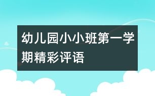 幼兒園小小班第一學(xué)期精彩評(píng)語(yǔ)