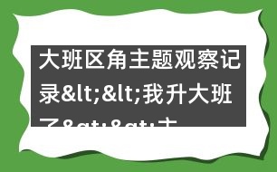 大班區(qū)角主題觀察記錄：<<我升大班了>>主題反思