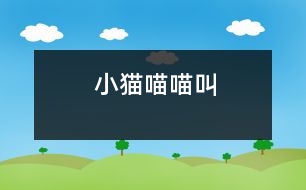 小貓喵喵叫