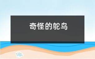 奇怪的鴕鳥(niǎo)