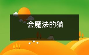 會(huì)魔法的貓