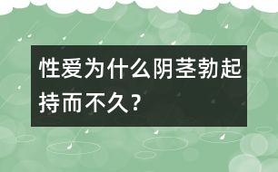 性愛：為什么陰莖勃起持而不久？