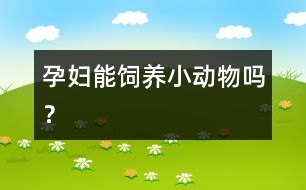 孕婦能飼養(yǎng)小動物嗎？