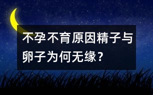 不孕不育原因：精子與卵子為何無緣？