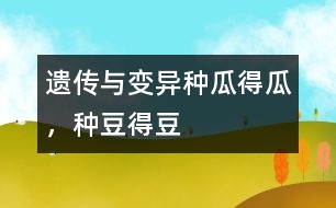 遺傳與變異：種瓜得瓜，種豆得豆