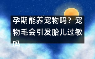 孕期能養(yǎng)寵物嗎？寵物毛會(huì)引發(fā)胎兒過(guò)敏嗎？