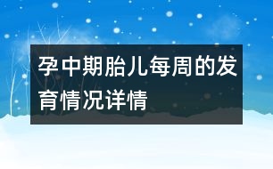 孕中期胎兒每周的發(fā)育情況詳情