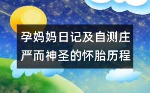 孕媽媽日記及自測(cè)：莊嚴(yán)而神圣的懷胎歷程