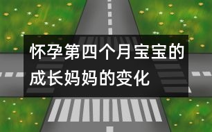 懷孕第四個(gè)月寶寶的成長(zhǎng)、媽媽的變化