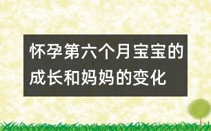 懷孕第六個月寶寶的成長和媽媽的變化