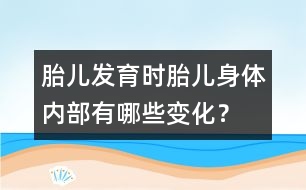 胎兒發(fā)育時：胎兒身體內(nèi)部有哪些變化？