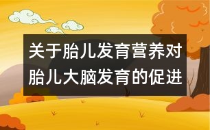 關(guān)于胎兒發(fā)育：營(yíng)養(yǎng)對(duì)胎兒大腦發(fā)育的促進(jìn)