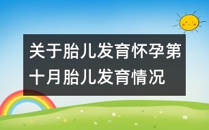 關于胎兒發(fā)育：懷孕第十月胎兒發(fā)育情況