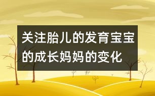 關(guān)注胎兒的發(fā)育：寶寶的成長、媽媽的變化