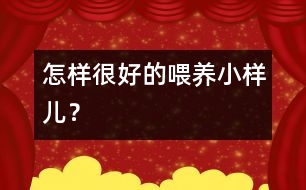 怎樣很好的喂養(yǎng)小樣兒？