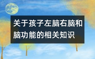 關(guān)于孩子左腦、右腦和腦功能的相關(guān)知識(shí)