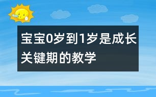 寶寶0歲到1歲是成長關(guān)鍵期的教學(xué)