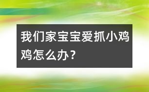 我們家寶寶愛抓小雞雞怎么辦？