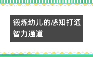 鍛煉幼兒的感知：打通智力通道