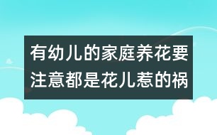 有幼兒的家庭養(yǎng)花要注意：都是花兒惹的禍