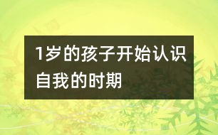 1歲的孩子開始認(rèn)識自我的時(shí)期