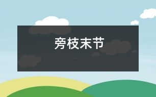 旁枝末節(jié)