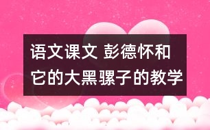 語文課文 彭德懷和它的大黑騾子的教學(xué)設(shè)計(jì) 課后習(xí)題答案