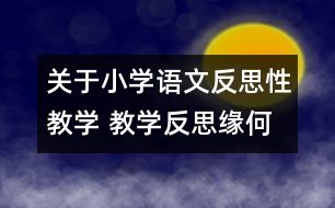 關(guān)于小學語文反思性教學 教學反思緣何起？