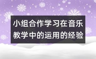 小組合作學習在音樂教學中的運用的經(jīng)驗和相關建議