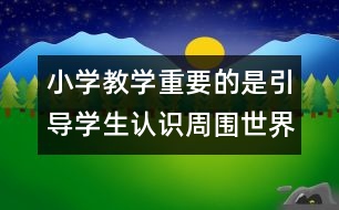 小學教學重要的是引導學生認識周圍世界