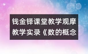 錢金鐸課堂教學(xué)觀摩教學(xué)實(shí)錄：《數(shù)的概念復(fù)習(xí)》