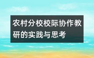 農村分校校際協(xié)作教研的實踐與思考