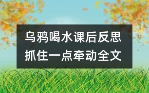 烏鴉喝水課后反思 抓住一點(diǎn)牽動(dòng)全文