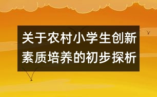 關(guān)于農(nóng)村小學(xué)生創(chuàng)新素質(zhì)培養(yǎng)的初步探析