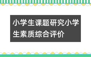 小學(xué)生課題研究：小學(xué)生素質(zhì)綜合評(píng)價(jià)