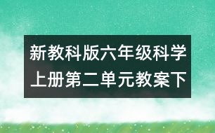 新教科版六年級(jí)科學(xué)上冊(cè)第二單元教案下