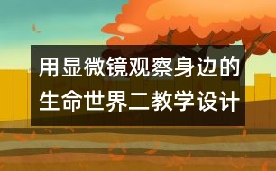 用顯微鏡觀察身邊的生命世界（二）教學設(shè)計—新教科版六年級下冊科學教案