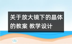 關(guān)于放大鏡下的晶體的教案 教學(xué)設(shè)計(jì)  新教科版六年級(jí)下冊(cè)科學(xué)教案