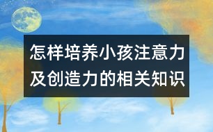 怎樣培養(yǎng)小孩注意力及創(chuàng)造力的相關知識