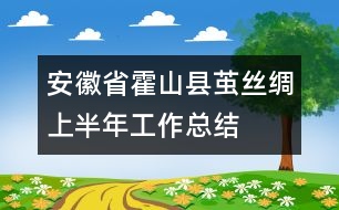 安徽省霍山縣繭絲綢上半年工作總結