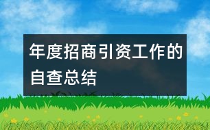 年度招商引資工作的自查總結(jié)