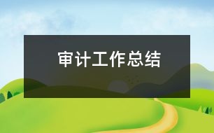 審計(jì)工作總結(jié)