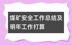 煤礦安全工作總結(jié)及明年工作打算