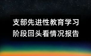 支部先進性教育學習階段回頭看情況報告