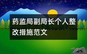 藥監(jiān)局副局長個人整改措施范文