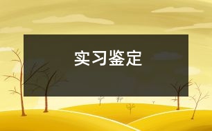 實(shí)習(xí)鑒定