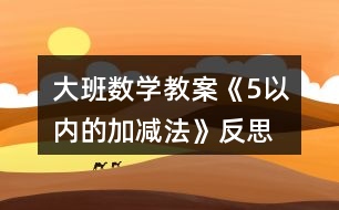 大班數(shù)學教案《5以內(nèi)的加減法》反思