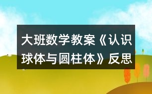 大班數(shù)學(xué)教案《認(rèn)識(shí)球體與圓柱體》反思